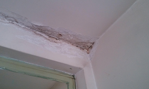 收房發現房子漏水能退房嗎